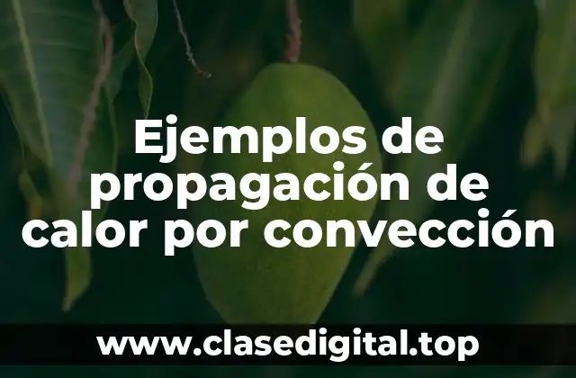 Ejemplos de propagación de calor por convección