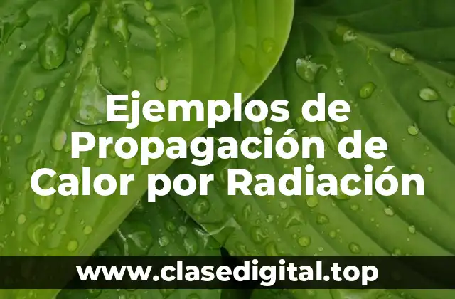 Ejemplos de Propagación de Calor por Radiación