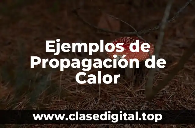 Ejemplos de Propagación de Calor