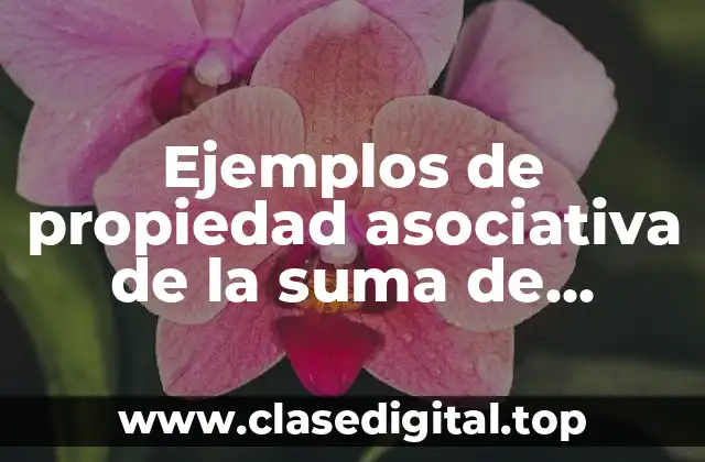 Ejemplos de propiedad asociativa de la suma de números racionales