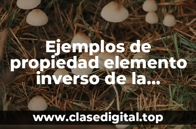 Ejemplos de propiedad elemento inverso de la multiplicación