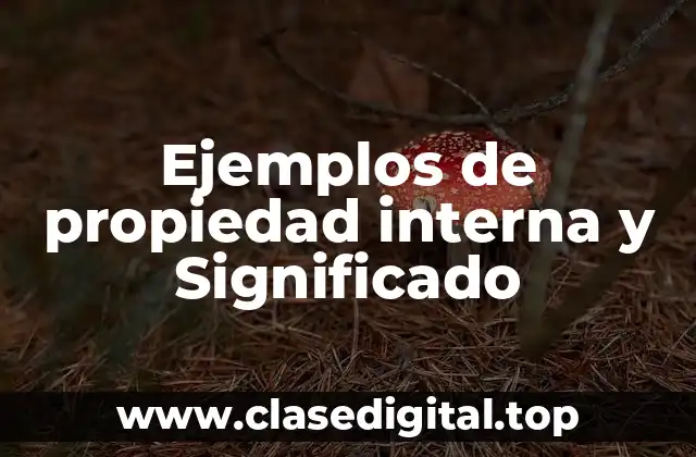 Ejemplos de propiedad interna y Significado