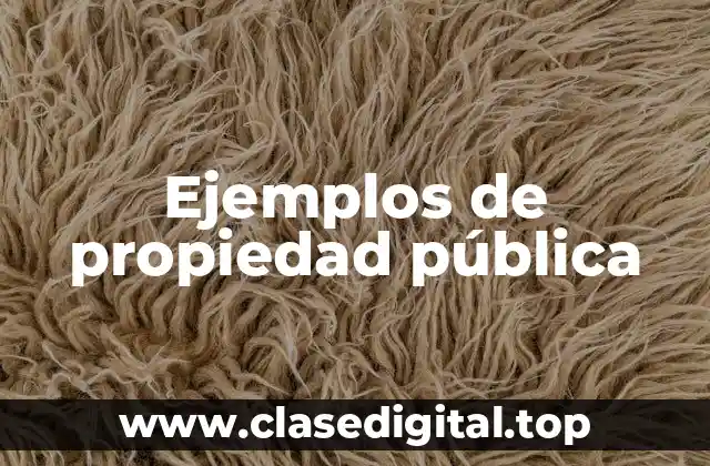 Ejemplos de propiedad pública