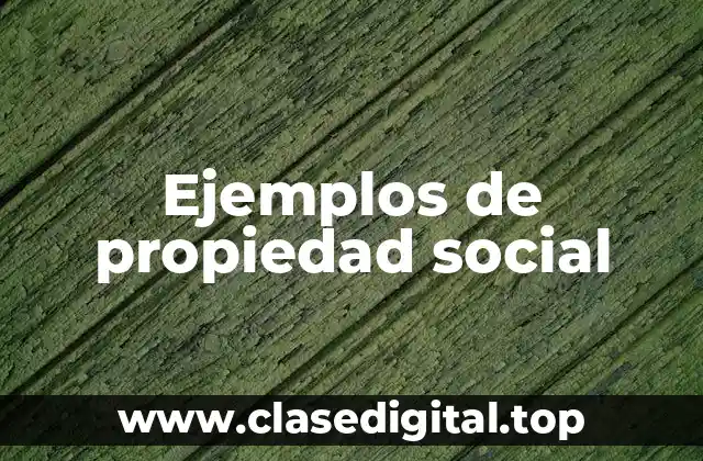 Ejemplos de propiedad social