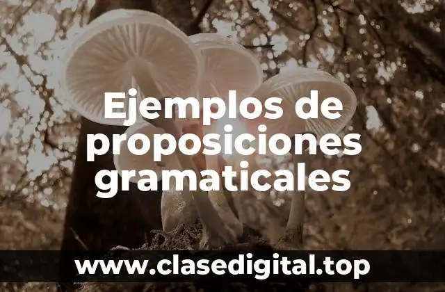 Ejemplos de proposiciones gramaticales
