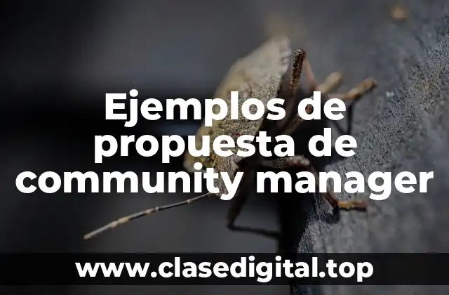 Ejemplos de propuesta de community manager