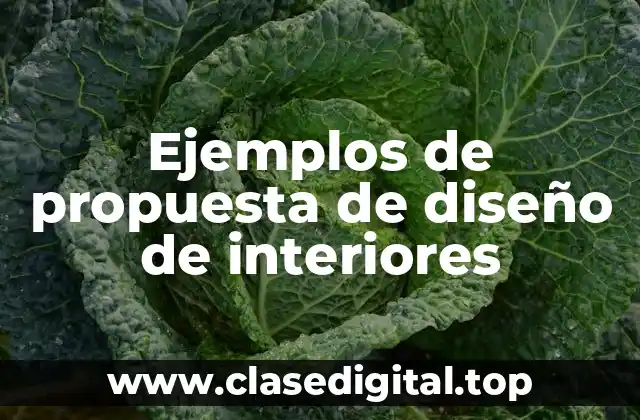 Ejemplos de propuesta de diseño de interiores
