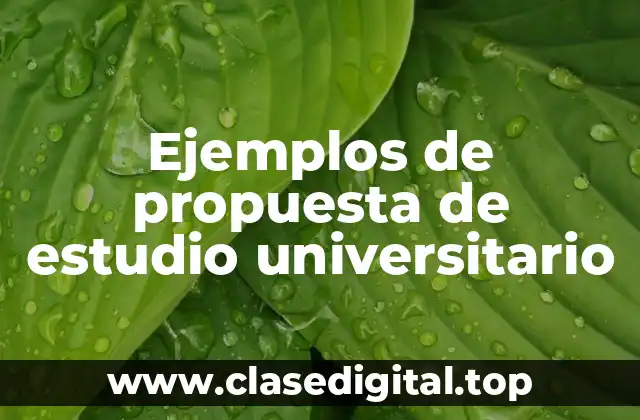 Ejemplos de propuesta de estudio universitario
