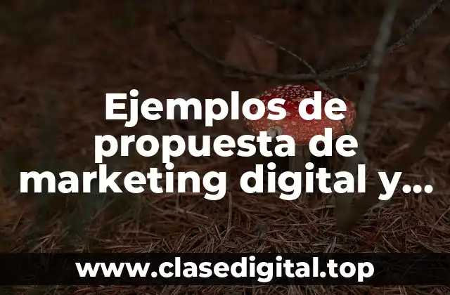 Ejemplos de propuesta de marketing digital y Significado
