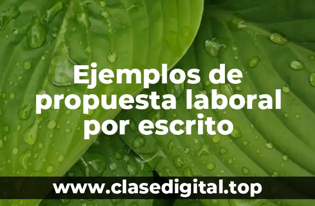 Ejemplos de propuesta laboral por escrito