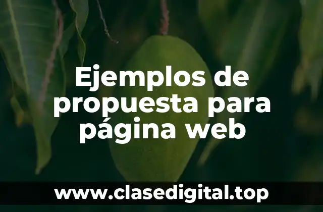 Ejemplos de propuesta para página web
