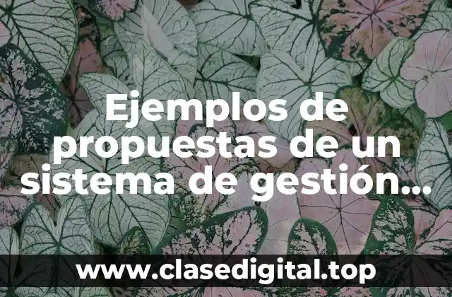 Ejemplos de propuestas de un sistema de gestión de calidad