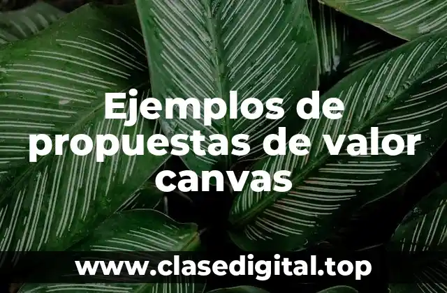 Ejemplos de propuestas de valor canvas