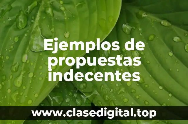 Ejemplos de propuestas indecentes