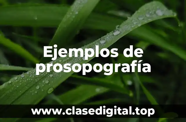 Ejemplos de prosopografía