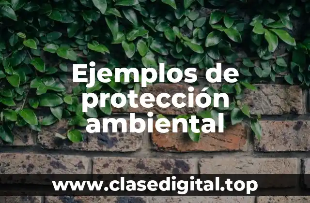 Ejemplos de protección ambiental