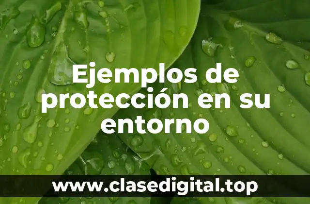 Ejemplos de protección en su entorno