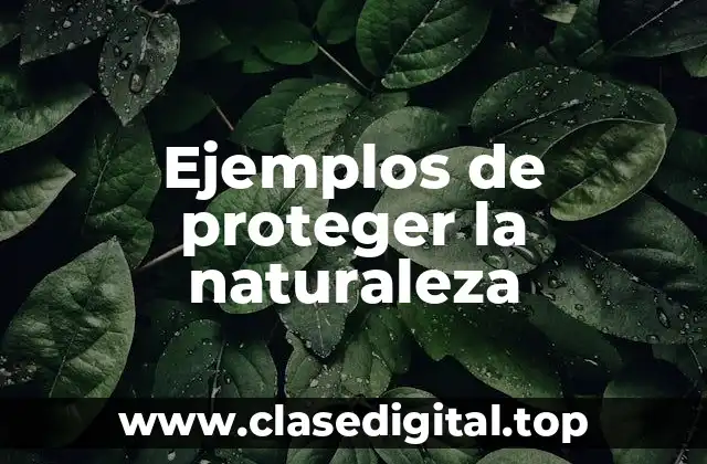 Ejemplos de proteger la naturaleza