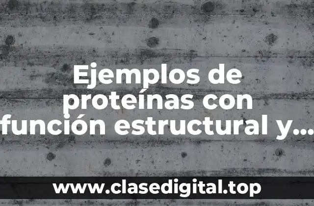 Ejemplos de proteínas con función estructural y Significado