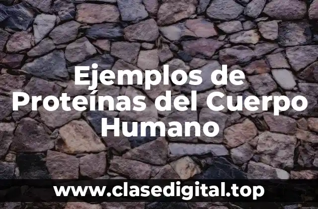 Ejemplos de Proteínas del Cuerpo Humano