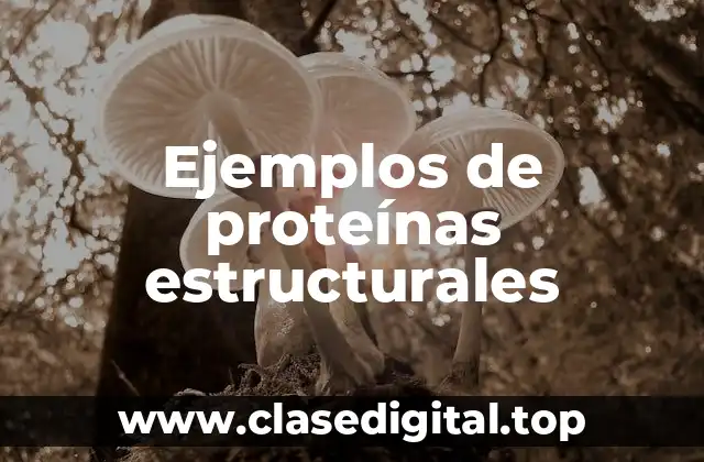 Ejemplos de proteínas estructurales