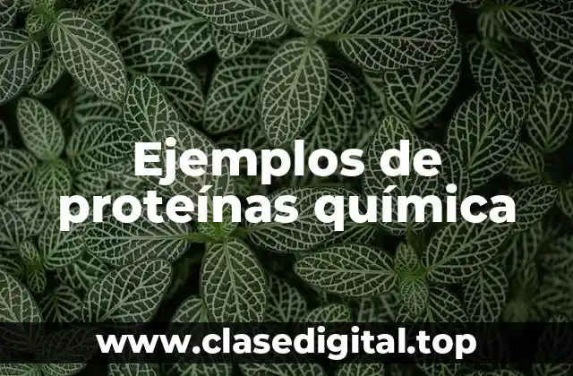 Ejemplos de proteínas química