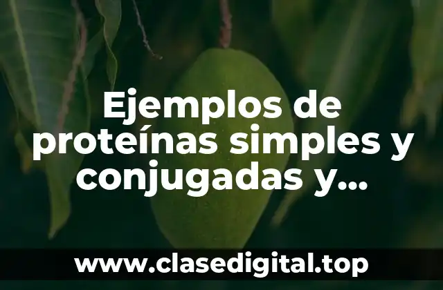 Ejemplos de proteínas simples y conjugadas y Significado