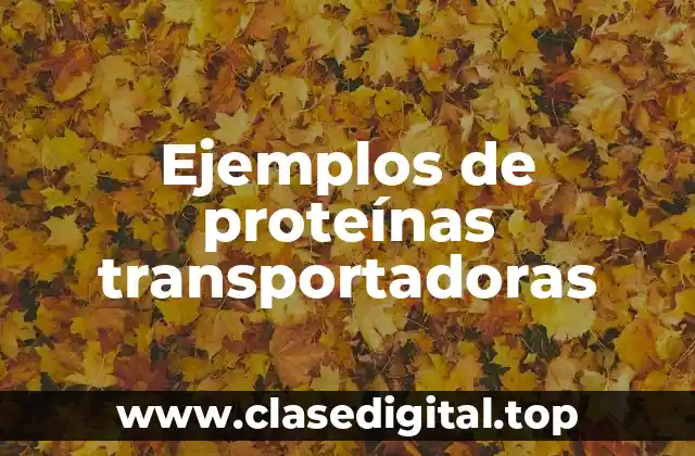 Ejemplos de proteínas transportadoras