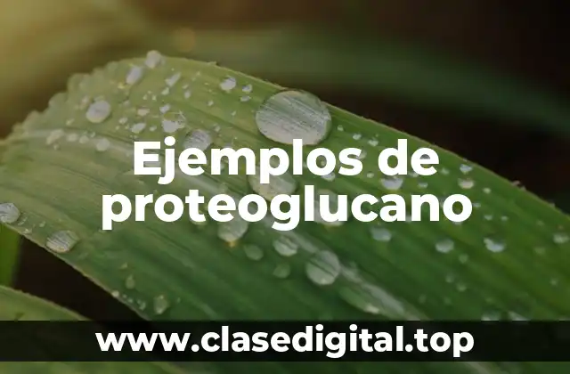 Ejemplos de proteoglucano