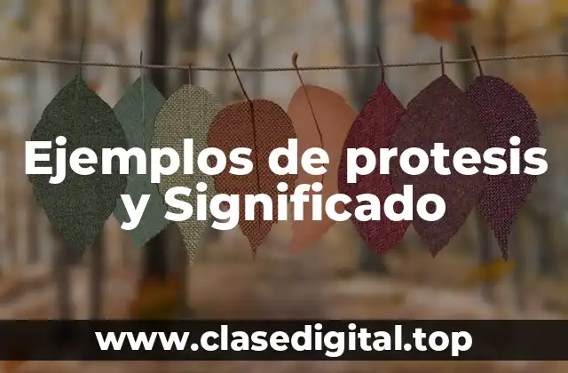 Ejemplos de protesis y Significado