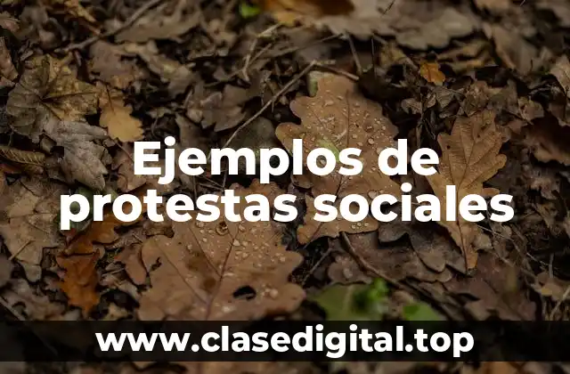 Ejemplos de protestas sociales