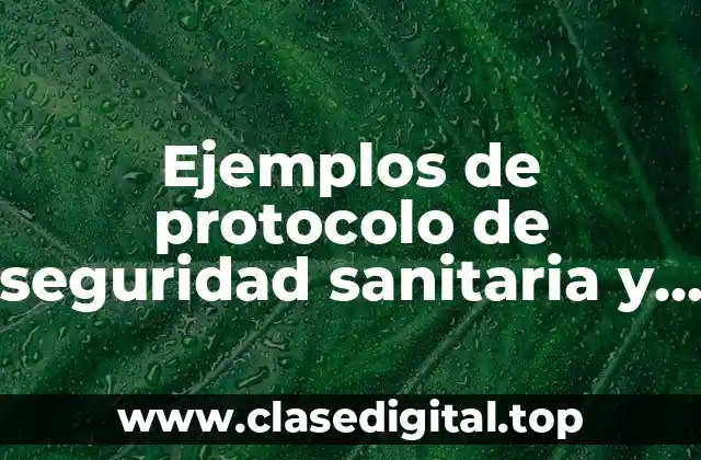Ejemplos de protocolo de seguridad sanitaria y Significado
