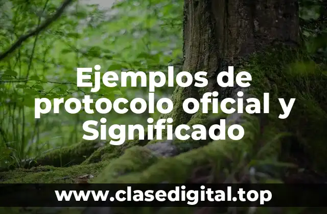Ejemplos de protocolo oficial y Significado