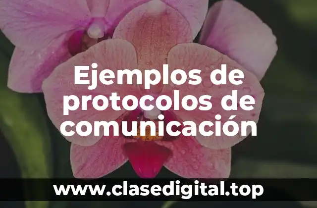 Ejemplos de protocolos de comunicación
