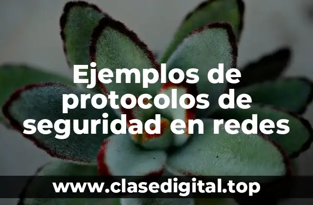 Ejemplos de protocolos de seguridad en redes
