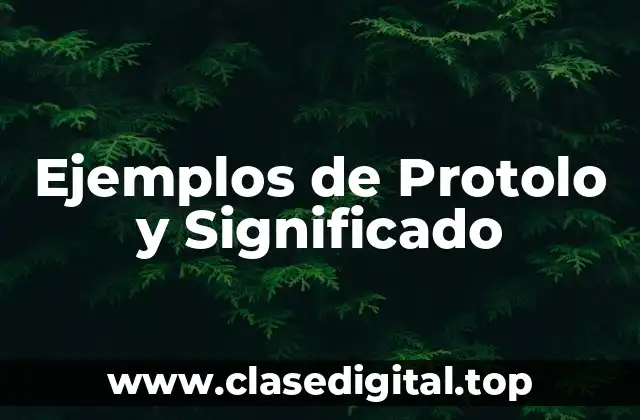 Ejemplos de Protolo y Significado