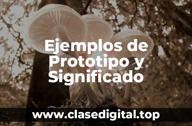 Ejemplos de Prototipo