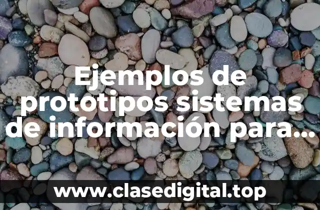 Ejemplos de prototipos sistemas de información para la seguridad pública