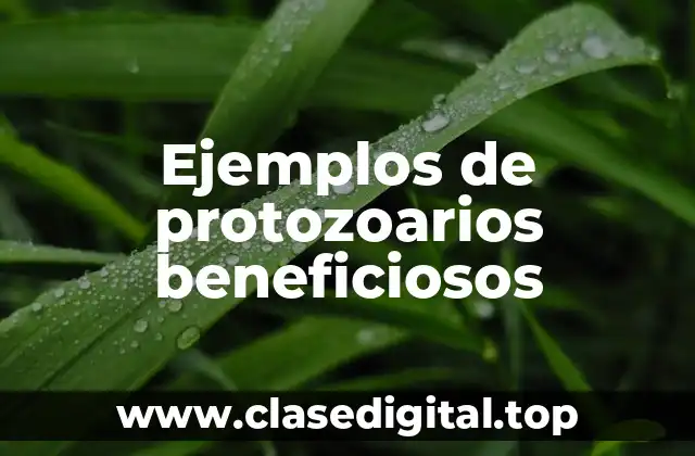 Ejemplos de protozoarios beneficiosos