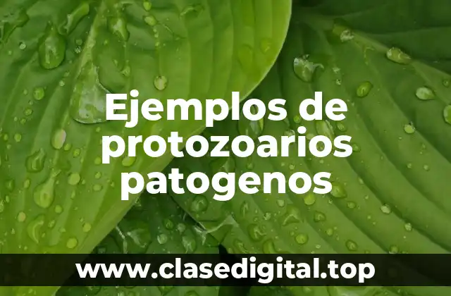 Ejemplos de protozoarios patogenos