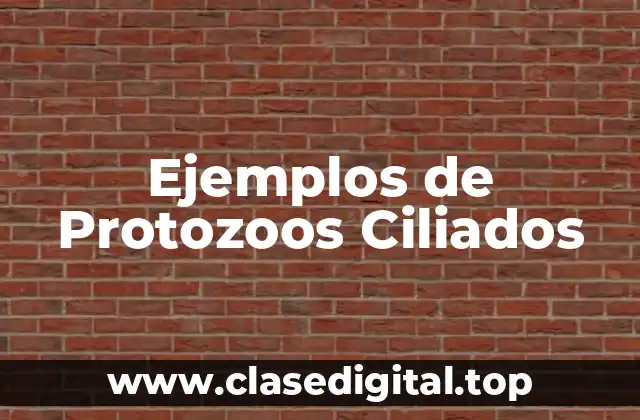 Ejemplos de Protozoos Ciliados