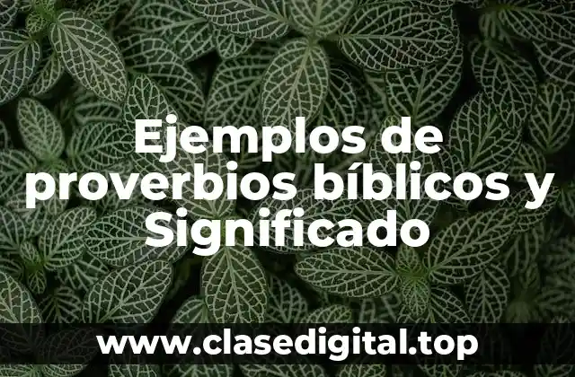 Ejemplos de proverbios bíblicos y Significado