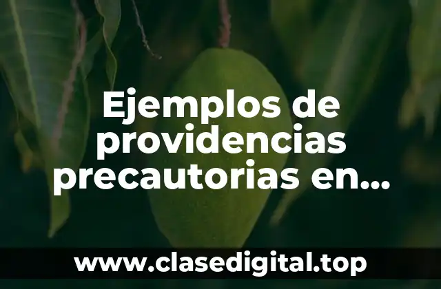 Ejemplos de providencias precautorias en materia civil