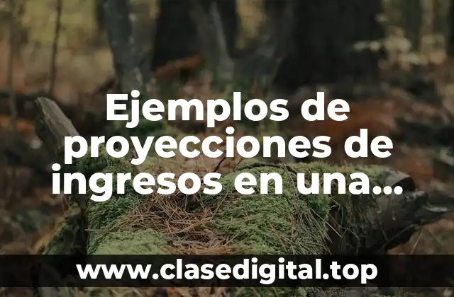 Ejemplos de proyecciones de ingresos en una empresa