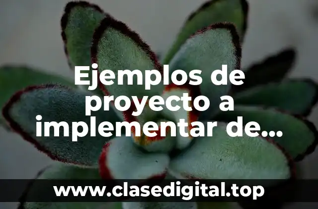 Ejemplos de proyecto a implementar de gestión a la supervisión