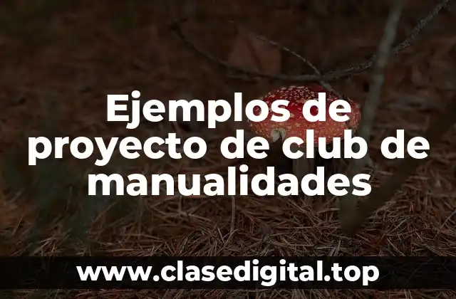 Ejemplos de proyecto de club de manualidades