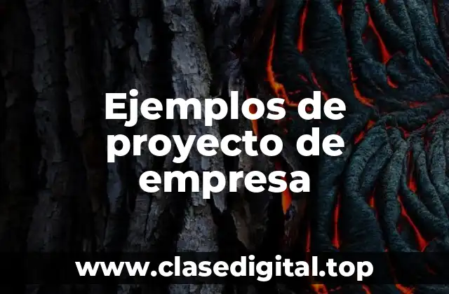 Ejemplos de proyecto de empresa