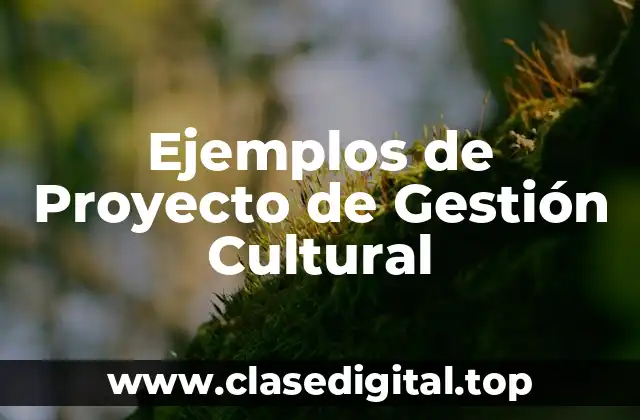 Ejemplos de Proyecto de Gestión Cultural