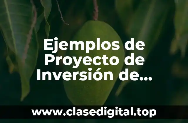 Ejemplos de Proyecto de Inversión de Productos de Limpieza y Significado