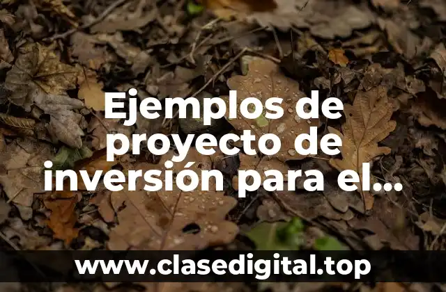 Ejemplos de proyecto de inversión para el desarrollo rural